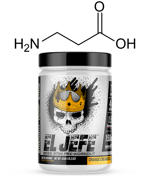 Beta Alanine Breakdown